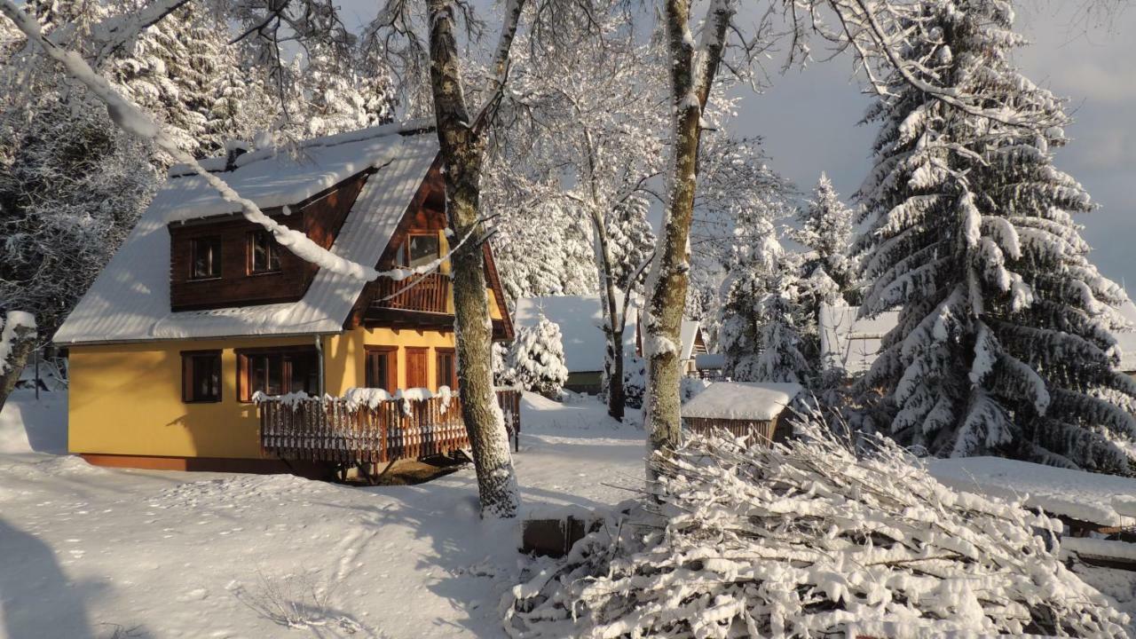 Lodge Sandra *